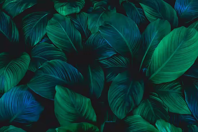 Villas Vertes Campagnes - Décor vert